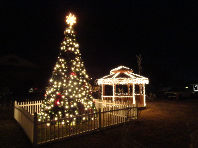 The Holiday Spirit!